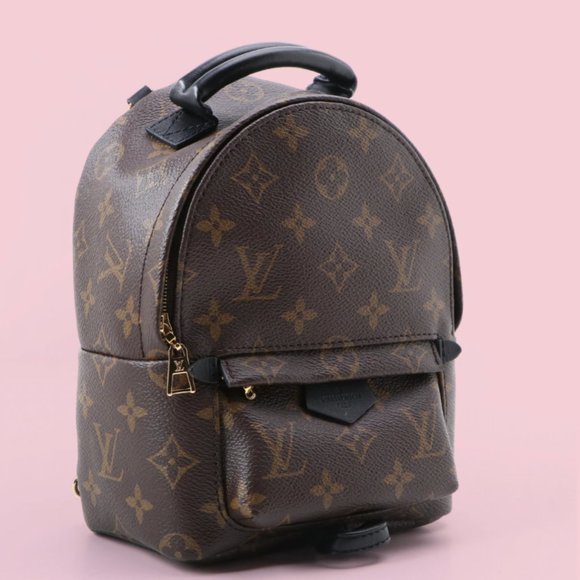 SOLD - Louis Vuitton Palm Springs Mini Backpack - Picture 2 of 11
